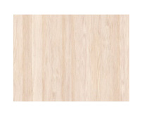 Obkladové panely do interiéru Vilo - Motivo PD250 Classic - Natural Wood /0,25 x 2,65 m