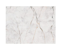 Obkladové panely do interiéru Vilo - Motivo PD250 Classic - Gold Marble /0,25 x 2,65 m