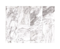 Obkladové panely do interiéru Vilo - Motivo PD250 Classic - Winter Marble /0,25 x 2,65 m